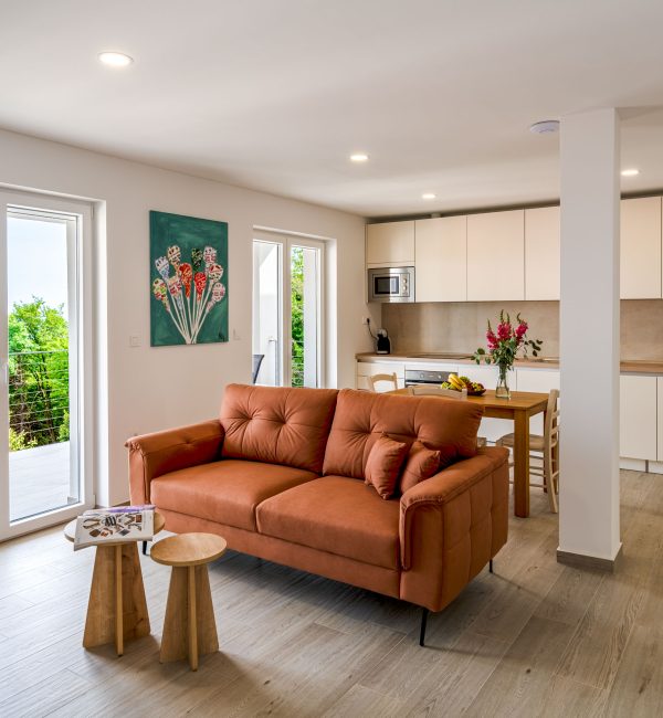 Deluxe First Floor Apartment